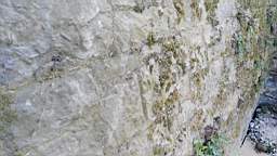 acastle
                          108330.jpg